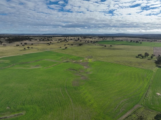 555 Palgrave Road Dalveen QLD 4374 - Image 3