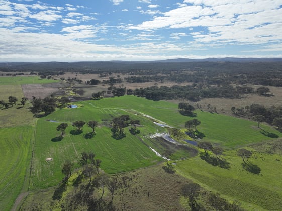555 Palgrave Road Dalveen QLD 4374 - Image 4