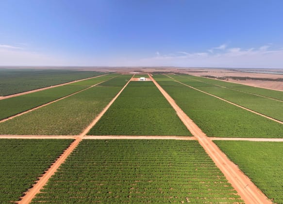 Talia Farms 1251 Stanitzki Road Pike River SA 5340 - Image 1