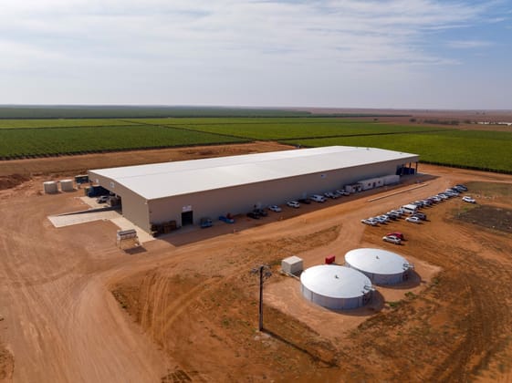 Talia Farms 1251 Stanitzki Road Pike River SA 5340 - Image 3