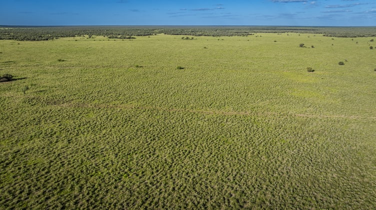Elrose Station Landsborough Highway Mckinlay QLD 4823 - Image 4