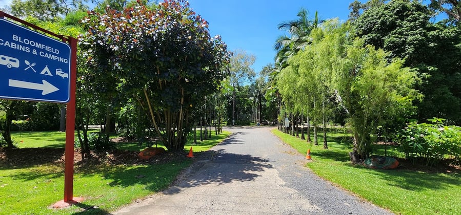 2869 Rossville Bloomfield Rd Bloomfield QLD 4895 - Image 2
