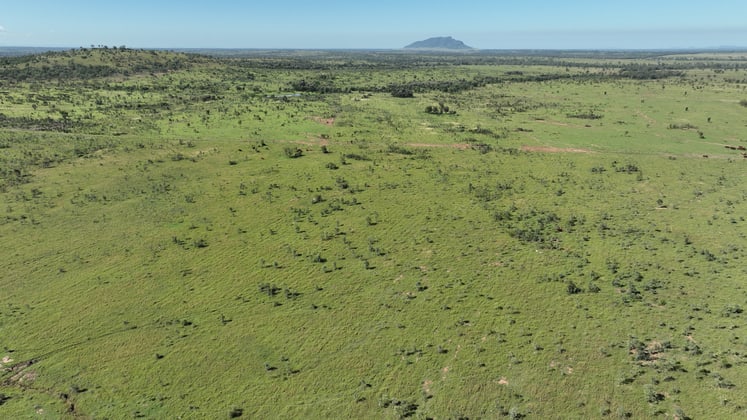 320 Olinda Road Kokotungo QLD 4702 - Image 1