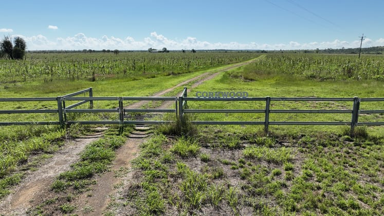 320 Olinda Road Kokotungo QLD 4702 - Image 4