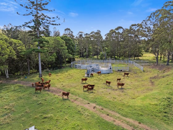 1145 Carneys Creek Road Croftby QLD 4310 - Image 3