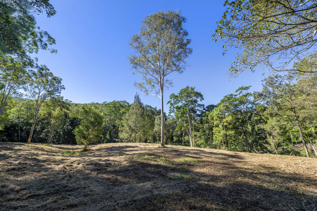 1142 Beaudesert-Nerang Road Clagiraba QLD 4211 - Image 5