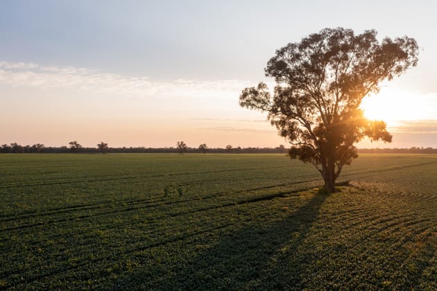 Tocumwal NSW 2714 - Image 1