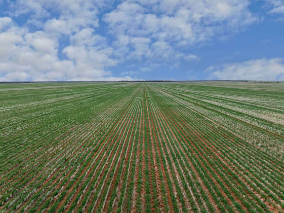 2423 Petro Mail Road Arumpo NSW 2715 - Image 1
