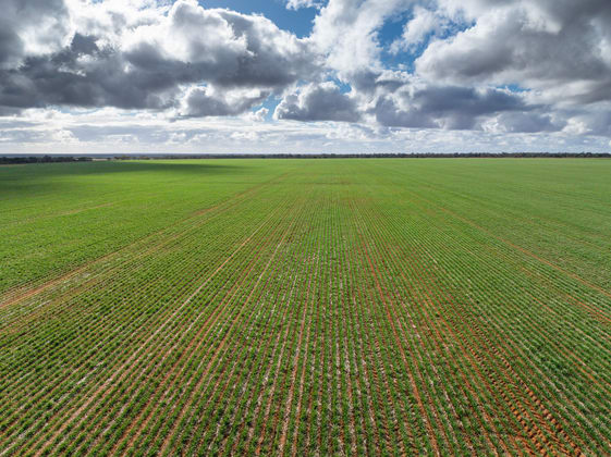2423 Petro Mail Road Arumpo NSW 2715 - Image 5