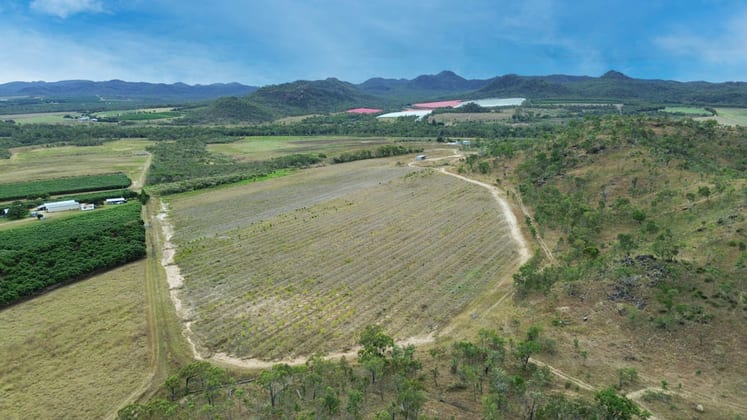 750 Leafgold Weir Road Dimbulah QLD 4872 - Image 3