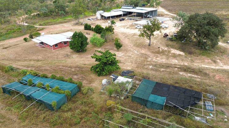750 Leafgold Weir Road Dimbulah QLD 4872 - Image 5