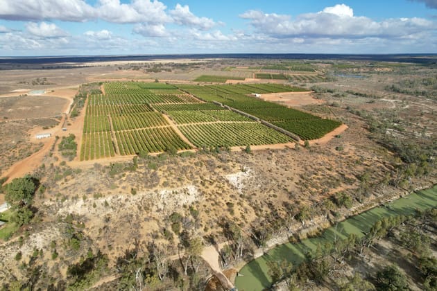 290 Sculthorpe Road Nangiloc VIC 3494 - Image 2