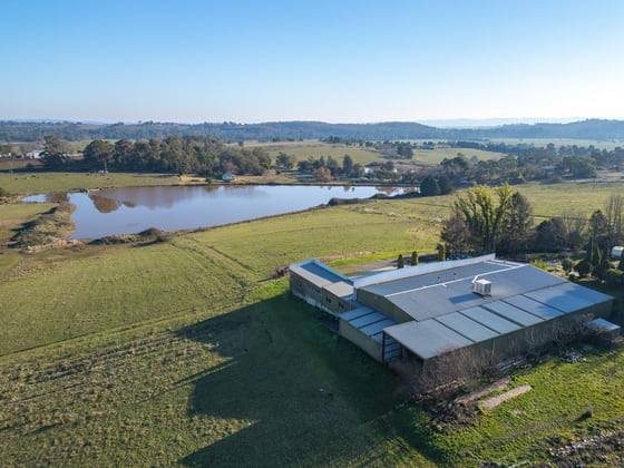 16 Airlie Road Healesville VIC 3777 - Image 4