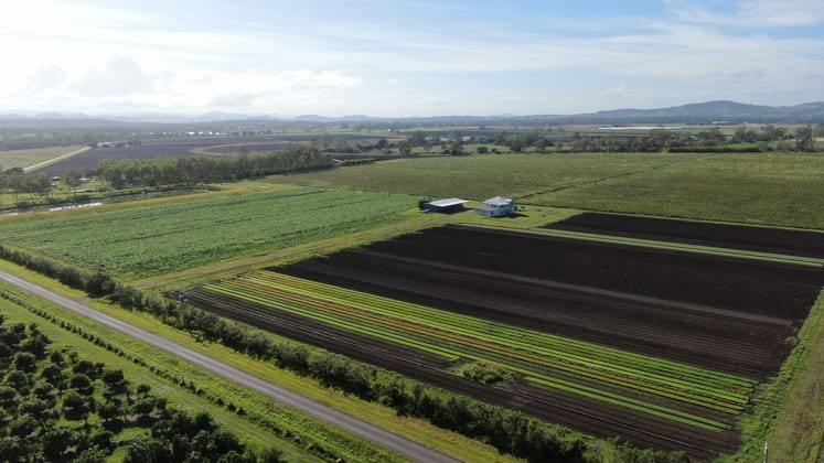 696 Mahons Road Coominya QLD 4311 - Image 3