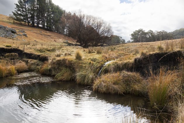 175 Tumbledown Road Peak View NSW 2630 - Image 3