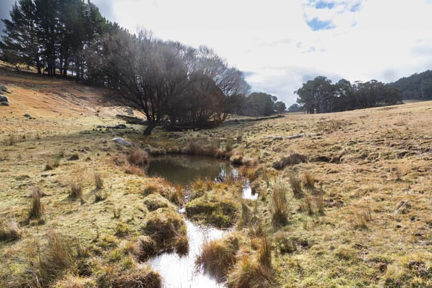 175 Tumbledown Road Peak View NSW 2630 - Image 5