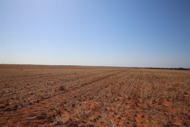 Monak NSW 2738 - Image 1