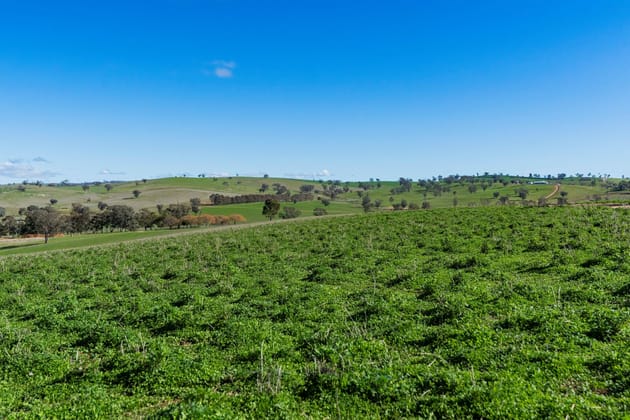 670 Leahy Road Harefield NSW 2650 - Image 1