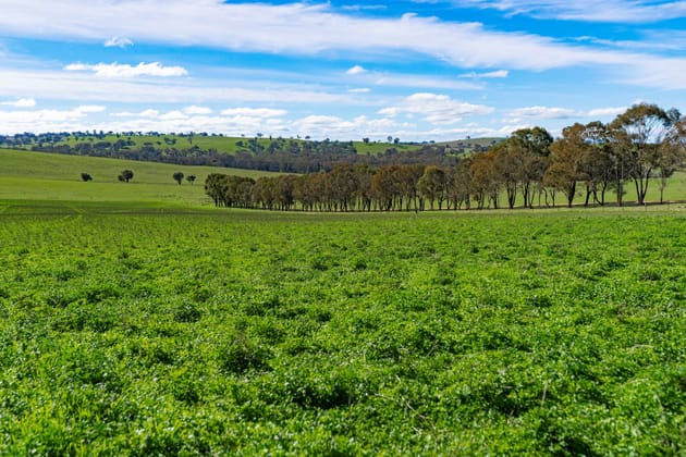 670 Leahy Road Harefield NSW 2650 - Image 2