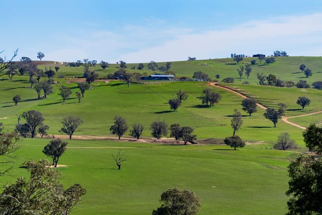 670 Leahy Road Harefield NSW 2650 - Image 4