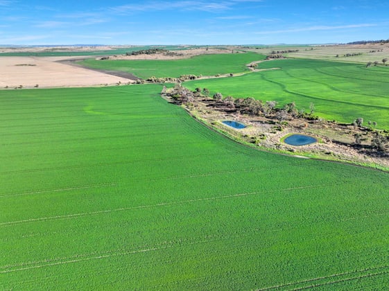 Croppa Creek NSW 2411 - Image 1