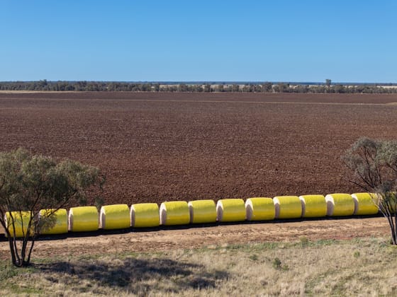 6210 Carnarvon Highway Thallon QLD 4497 - Image 5