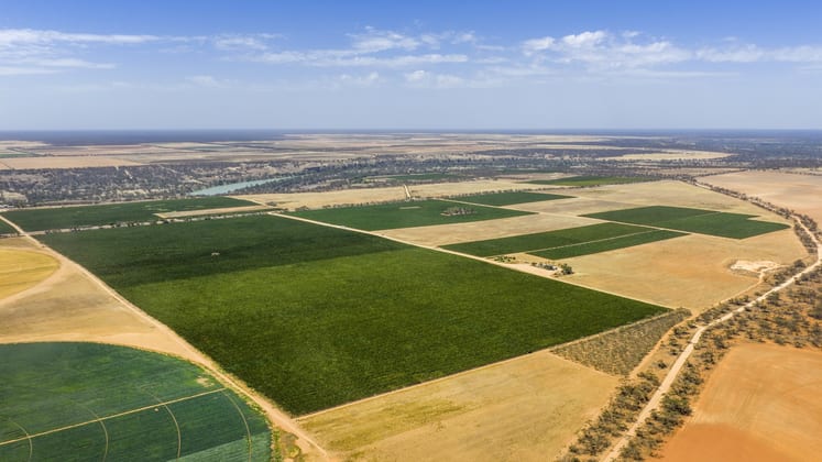 14921 & 14985 Sturt Highway Wigley Flat SA 5330 - Image 1