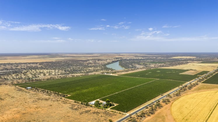 14921 & 14985 Sturt Highway Wigley Flat SA 5330 - Image 2