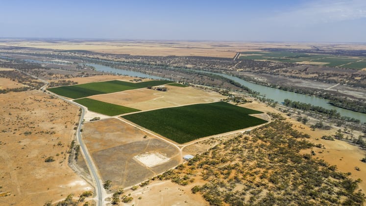 14921 & 14985 Sturt Highway Wigley Flat SA 5330 - Image 3