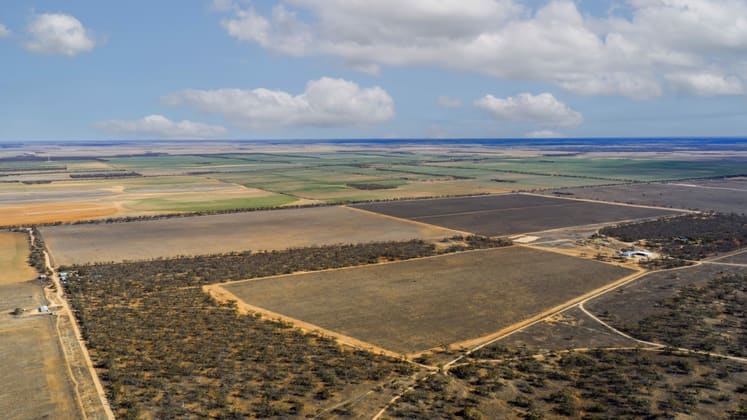 14921 & 14985 Sturt Highway Wigley Flat SA 5330 - Image 4