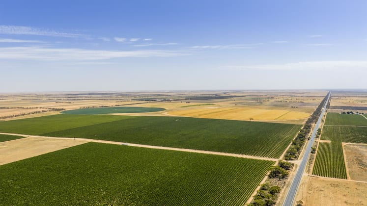 14921 & 14985 Sturt Highway Wigley Flat SA 5330 - Image 4