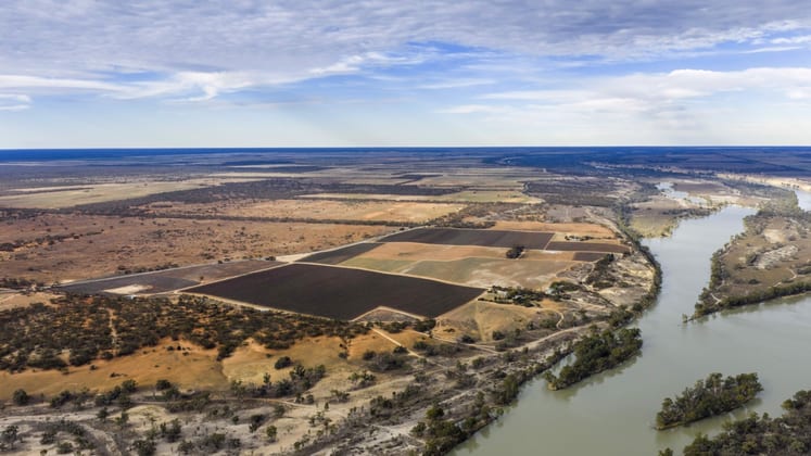 14921 & 14985 Sturt Highway Wigley Flat SA 5330 - Image 5