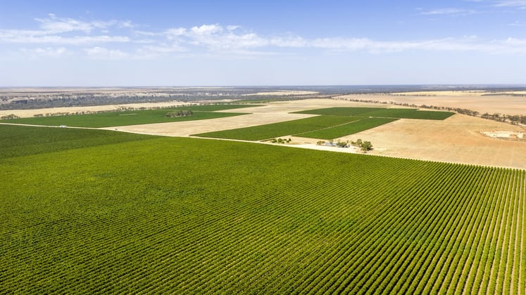 14921 & 14985 Sturt Highway Wigley Flat SA 5330 - Image 5