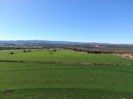 975 Cedarvale Road Cooranga QLD 4408 - Image 1