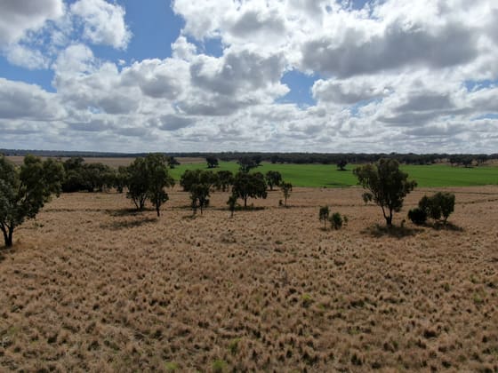 975 Cedarvale Road Cooranga QLD 4408 - Image 2