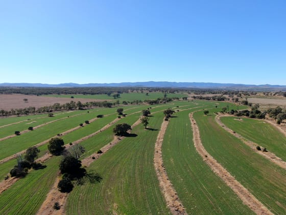 975 Cedarvale Road Cooranga QLD 4408 - Image 3