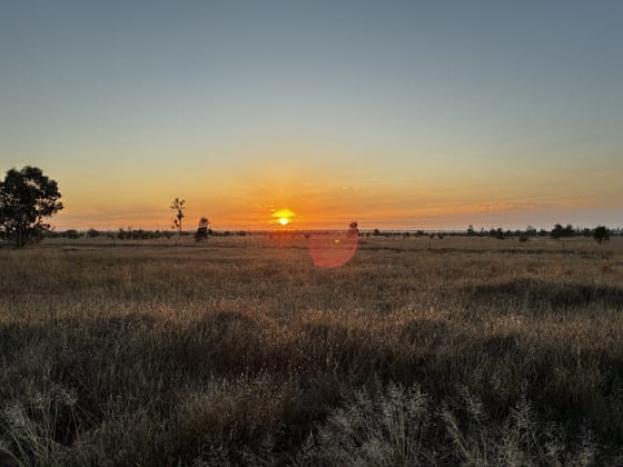 44 Begonia Road Ballaroo QLD 4455 - Image 1