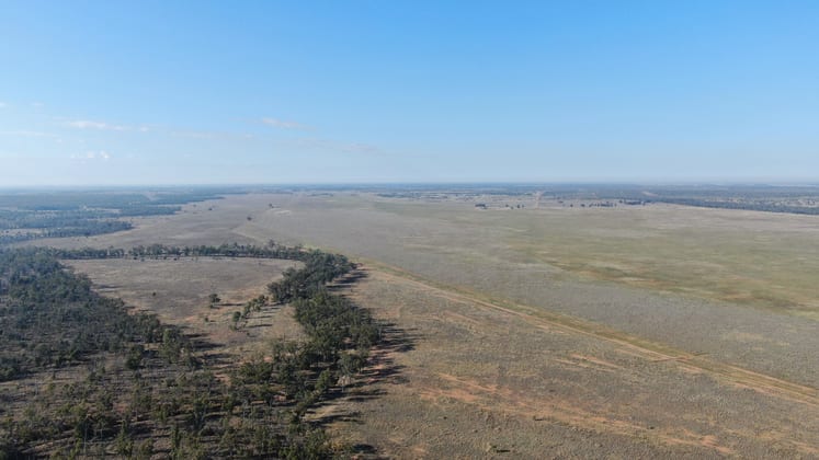 44 Begonia Road Ballaroo QLD 4455 - Image 4