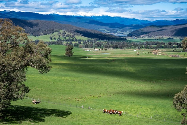 175 Oak Hill Road Bringenbrong NSW 3707 - Image 2