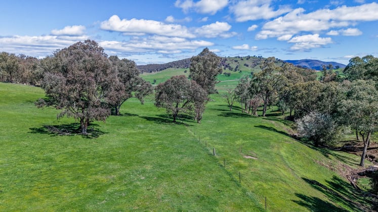 175 Oak Hill Road Bringenbrong NSW 3707 - Image 4