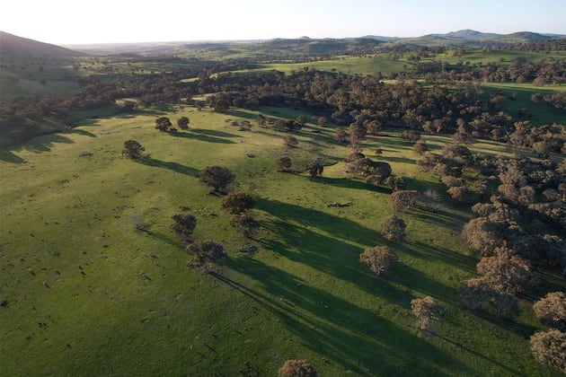 0 Glengarry Road Binalong NSW 2584 - Image 4