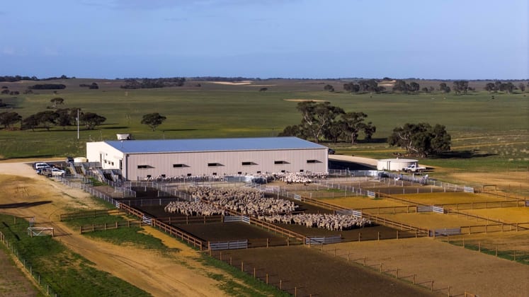 Telopea Downs VIC 3420 - Image 4
