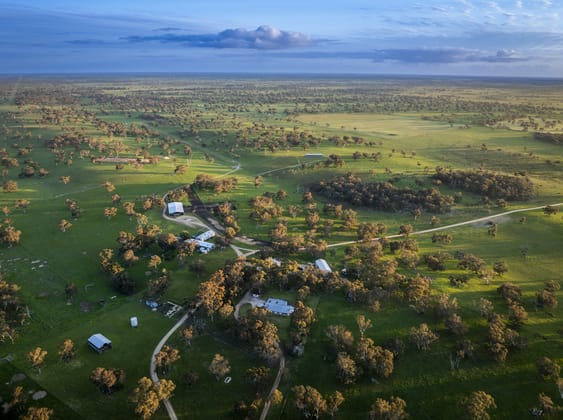 325 Maranoa Downs Road Stewart Range SA 5271 - Image 1