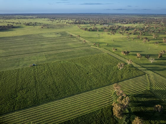 325 Maranoa Downs Road Stewart Range SA 5271 - Image 3