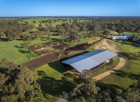 325 Maranoa Downs Road Stewart Range SA 5271 - Image 4