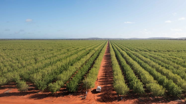 Griffith NSW 2680 - Image 3