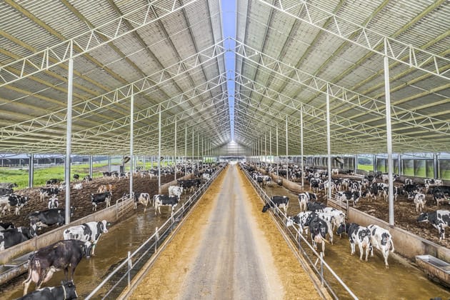 520 Centre Road Simpson VIC 3266 - Image 2