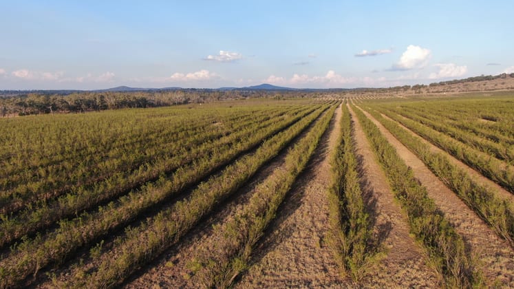 12605 Eidsvold Theodore Road Camboon QLD 4719 - Image 2