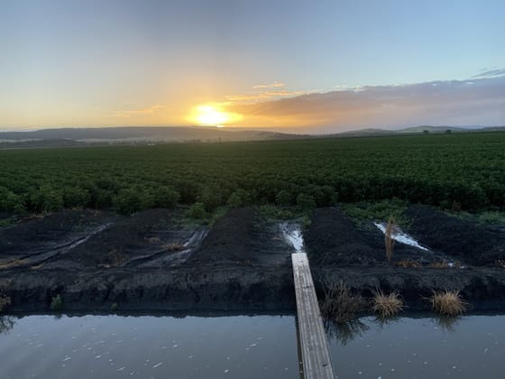 12605 Eidsvold Theodore Road Camboon QLD 4719 - Image 3