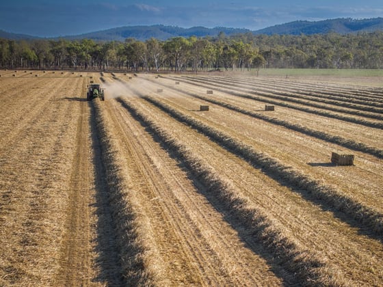 Click to view all images 620 Herbert River Road Innot Hot Springs QLD 4872 - Image 5